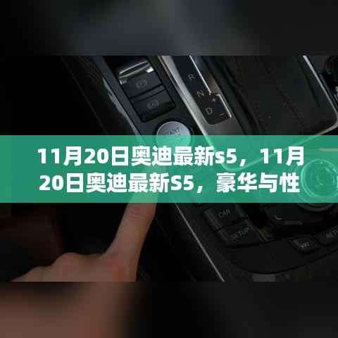 豪华与性能完美融合,奥迪最新S5车型发布