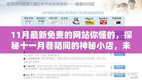 探秘十一月神秘网站与巷陌小店，免费宝藏大揭秘