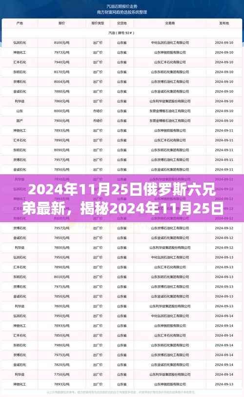揭秘俄罗斯六兄弟最新动态,2024年11月25日的最新消息解读