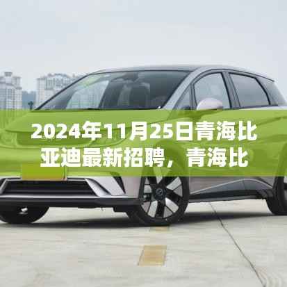 青海比亚迪未来之星招募启航,2024年全新招聘季正式开启,探寻职场新星!