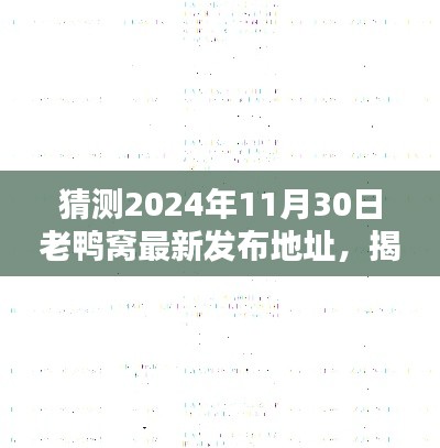 揭秘老鸭窝最新发布地址预测指南,如何预测并访问2024年11月30日的更新内容?