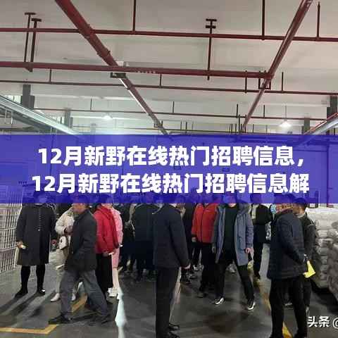 12月新野在线热门招聘信息解析与洞察,最新职位信息一网打尽