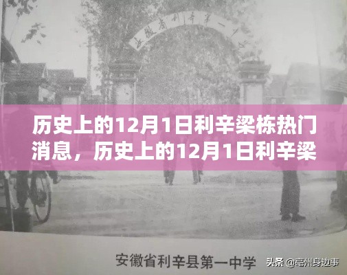 揭秘历史12月1日利辛梁栋,热门消息全面评测与介绍