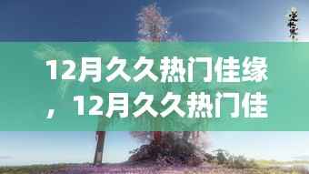 12月久久热门佳缘，与自然美景的浪漫邂逅，踏寻内心平和之旅