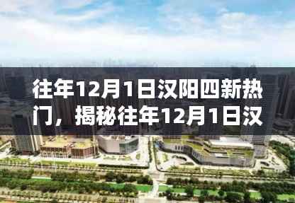 揭秘往年12月1日汉阳四新的热门焦点盛况