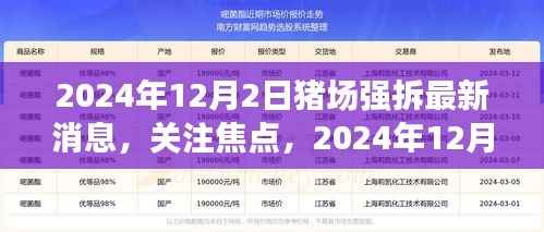 2024年12月2日猪场强拆最新动态及关注焦点