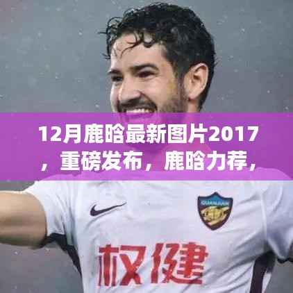 商品分类 第246页