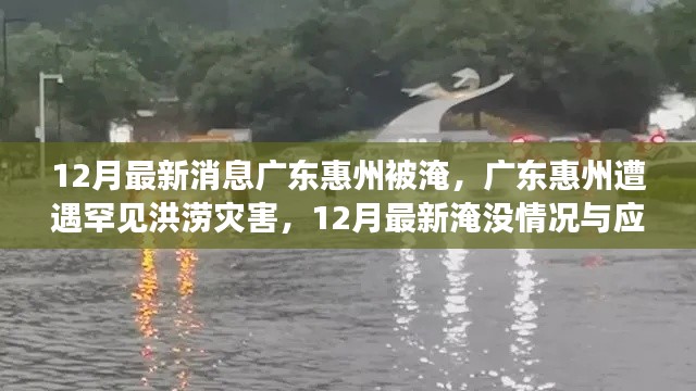广东惠州罕见洪涝灾害,最新淹没情况及应对措施