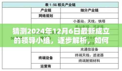 揭秘2024年最新领导小组,逐步解析与猜测