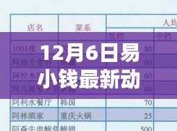 易小钱最新动态深度解析，特性、用户体验与目标用户群体揭秘