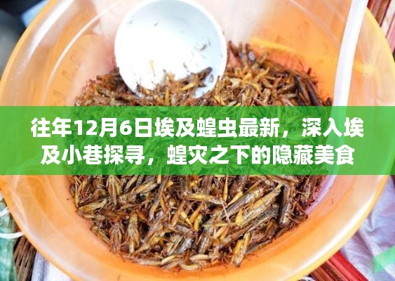 深入埃及探寻蝗灾之下的美食瑰宝,揭秘隐藏在小巷中的美食故事