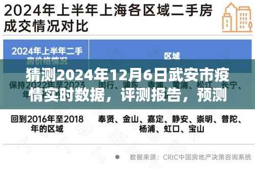 2024年视角,武安市疫情实时数据预测与评测报告,12月6日疫情状况展望
