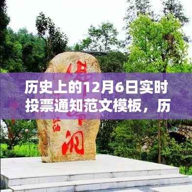 历史上的12月6日实时投票通知，操作指南与重要性解析