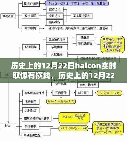 历史上的12月22日,Halcon实时取像技术处理横线干扰的步骤指南与问题解决