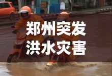 郑州突发洪水灾害，如何应对与防范？