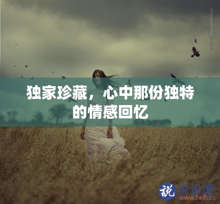 独家珍藏，心中那份独特的情感回忆