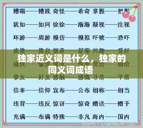 独家近义词是什么,独家的同义词成语