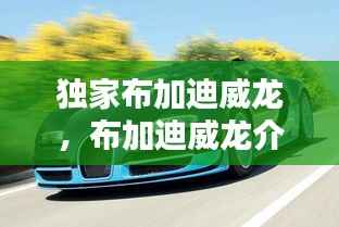 独家布加迪威龙,布加迪威龙介绍