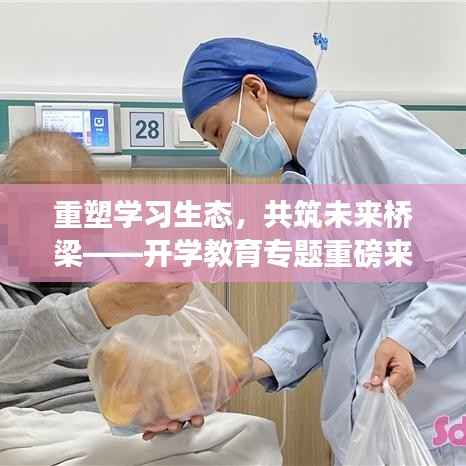 重塑学习生态,共筑未来桥梁——开学教育专题重磅来袭!