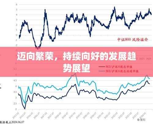 迈向繁荣,持续向好的发展趋势展望