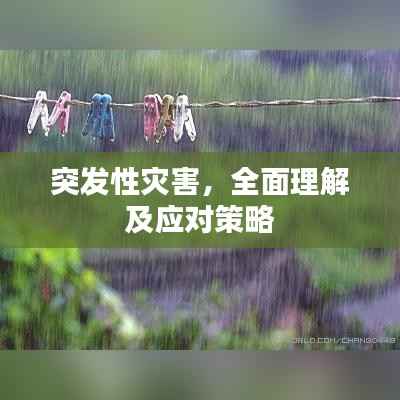 突发性灾害,全面理解及应对策略