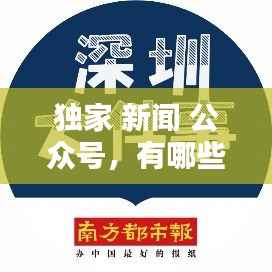 独家 新闻 公众号,有哪些官方新闻公众号