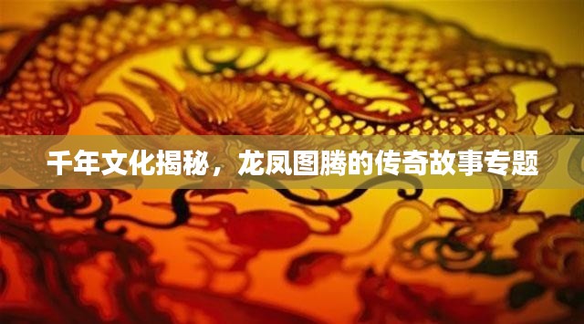 千年文化揭秘，龙凤图腾的传奇故事专题