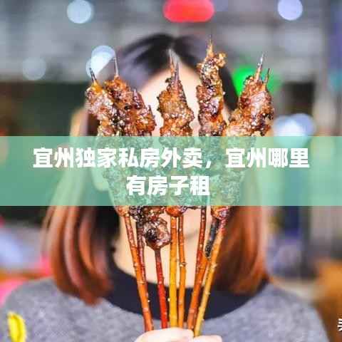 宜州独家私房外卖，宜州哪里有房子租 