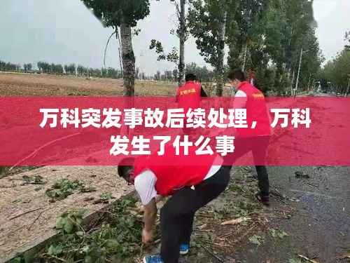 万科突发事故后续处理,万科发生了什么事