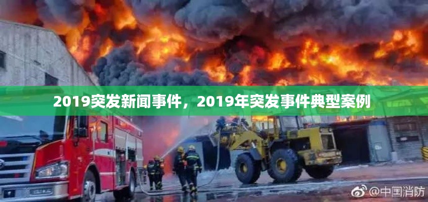 2019突发新闻事件，2019年突发事件典型案例 