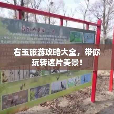 右玉旅游攻略大全，带你玩转这片美景！