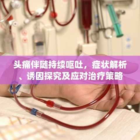 qinshouyimei 第11页