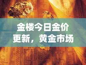 金楼今日金价更新，黄金市场动态及未来展望分析