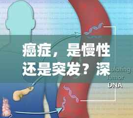 癌症,是慢性还是突发?深度解析疾病发展复杂性