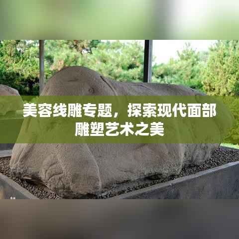 美容线雕专题,探索现代面部雕塑艺术之美