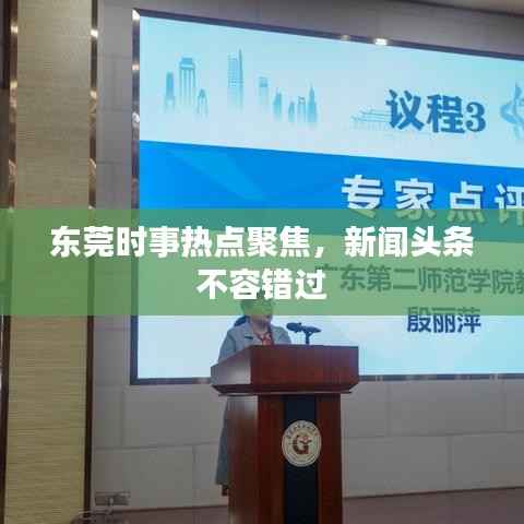 东莞时事热点聚焦,新闻头条不容错过