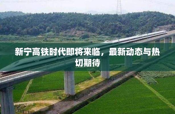 qinshouyimei 第10页