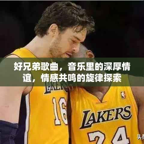 好兄弟歌曲,音乐里的深厚情谊,情感共鸣的旋律探索
