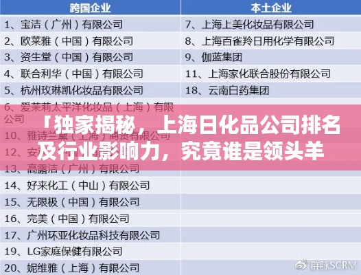 「独家揭秘，上海日化品公司排名及行业影响力，究竟谁是领头羊？」