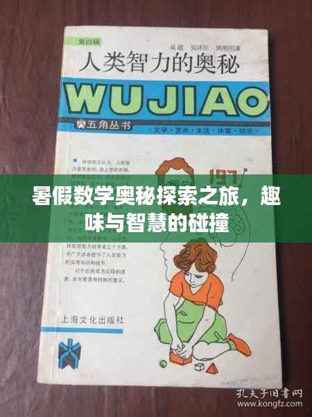 暑假数学奥秘探索之旅,趣味与智慧的碰撞