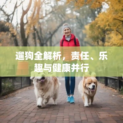 遛狗全解析,责任、乐趣与健康并行
