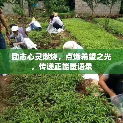 励志心灵燃烧，点燃希望之光，传递正能量语录