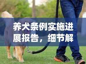养犬条例实施进展报告,细节解读与成效分析