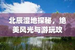 北辰湿地探秘，绝美风光与游玩攻略！