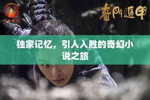 独家记忆,引人入胜的奇幻小说之旅