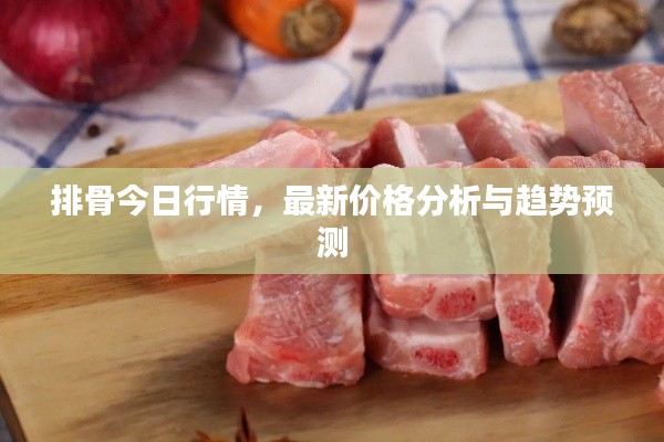 排骨今日行情，最新价格分析与趋势预测