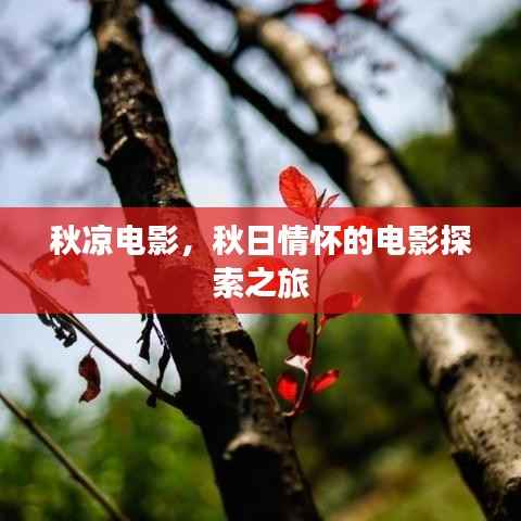秋凉电影，秋日情怀的电影探索之旅