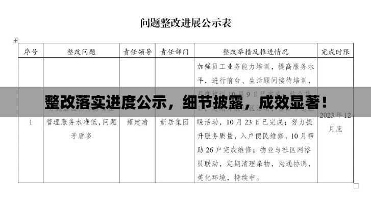 整改落实进度公示,细节披露,成效显著!
