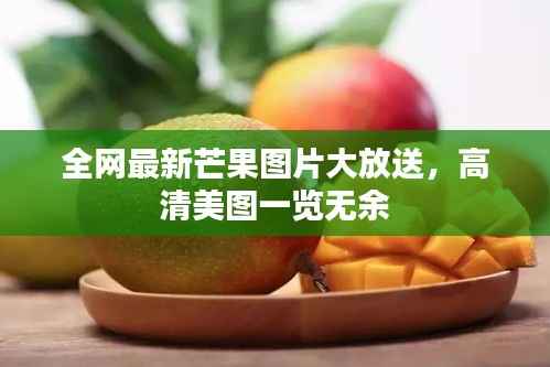 全网最新芒果图片大放送,高清美图一览无余