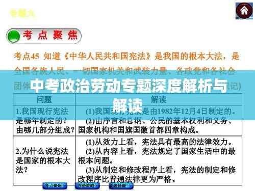 中考政治劳动专题深度解析与解读